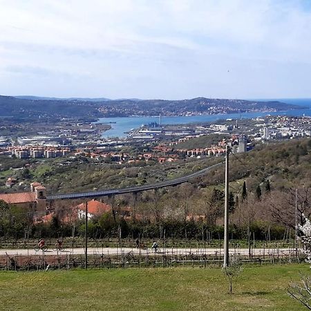 Bellavista Trieste San Dorligo della Valle Buitenkant foto