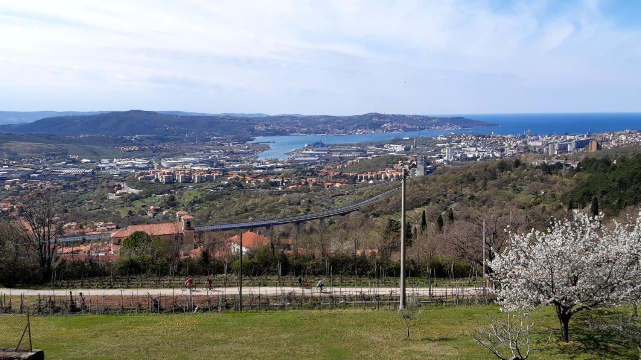 Bellavista Trieste San Dorligo della Valle Buitenkant foto